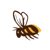 Apis Pindos - Μέλισσα